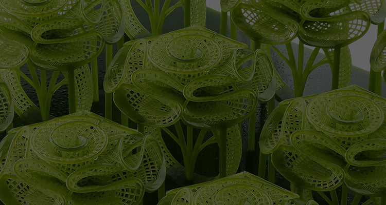 ANYCUBIC3D-DE