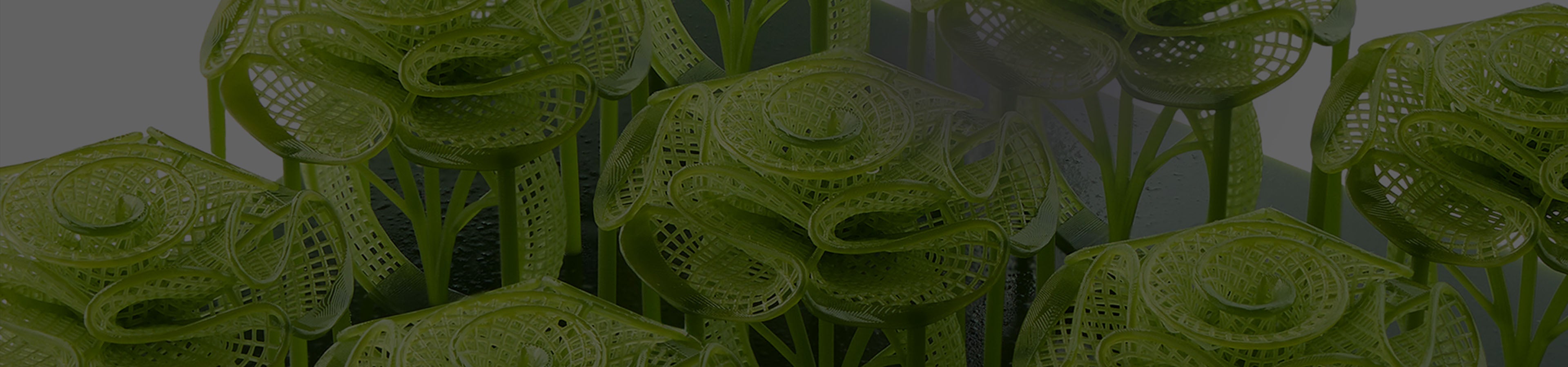 ANYCUBIC3D-DE