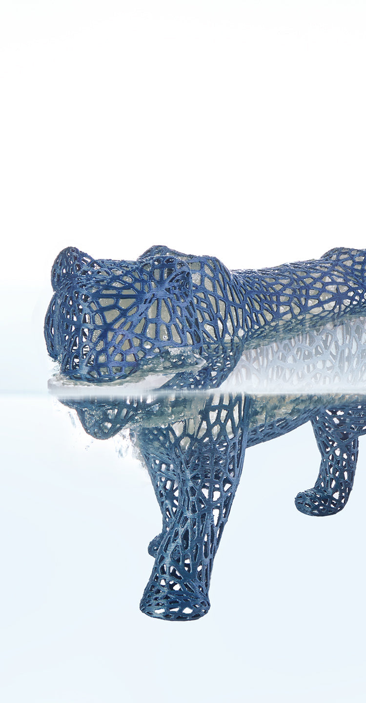 ANYCUBIC3D-DE