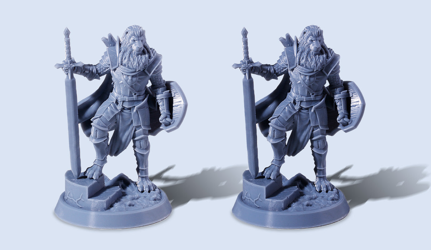 ANYCUBIC3D-DE